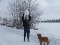 ein Bild aus dem Album