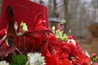 ein Bild aus dem Album