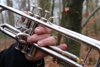 ein Bild aus dem Album