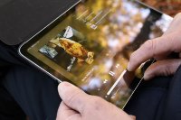 ein Bild aus dem Album