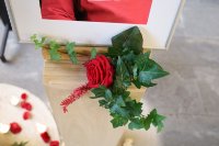 ein Bild aus dem Album